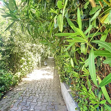 En Duplex 288l Apartment Cannes