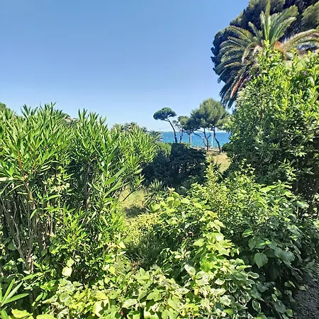 Apartment En Duplex 288l Cannes